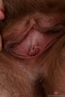 ATK hairy Felicia Fisher Set