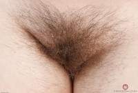 ATK hairy  in young and hairy