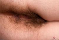 ATK hairy Felicia Fisher Set