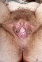 ATK hairy Felicia Fisher Set