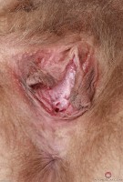 ATK hairy Felicia Fisher Set