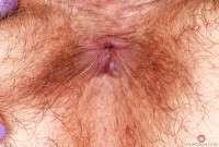 ATK hairy Felicia Fisher Set