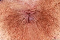 ATK hairy Felicia Fisher Set