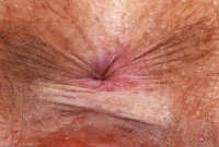 ATK hairy Felicia Fisher Set