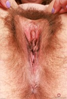 ATK hairy Felicia Fisher Set