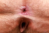 ATK hairy Felicia Fisher Set