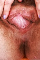 ATK hairy Felicia Fisher Set