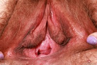 ATK hairy Felicia Fisher Set