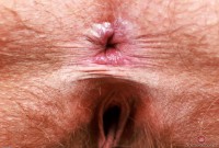 ATK hairy Felicia Fisher Set