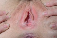 ATK hairy Finch Linden Set