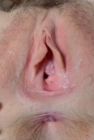 ATK hairy Finch Linden Set