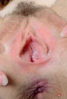 ATK hairy Finch Linden Set