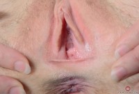 ATK hairy Finch Linden Set