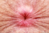 ATK hairy Fiona Peaches Set