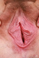 ATK hairy Fiona Peaches Set