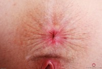 ATK hairy Fiona Peaches Set