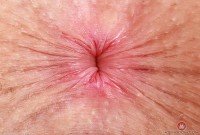 ATK hairy Fiona Peaches Set