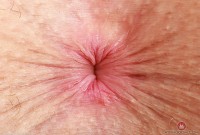 ATK hairy Fiona Peaches Set