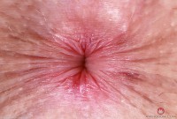 ATK hairy Fiona Peaches Set