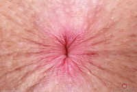 ATK hairy Fiona Peaches Set