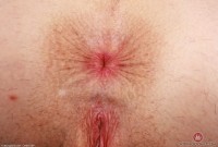 ATK hairy Fiona Peaches Set