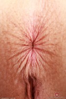 ATK hairy Fiona Peaches Set