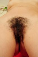 ATK hairy Franchesca Set