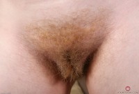 ATK hairy Gemma Set