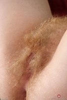 ATK hairy Gemma Set