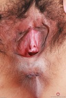 ATK hairy Gemma Naya Set