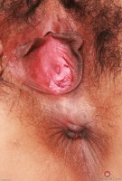 ATK hairy  in exotic and hairy