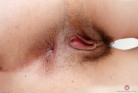 ATK hairy Geneva Set