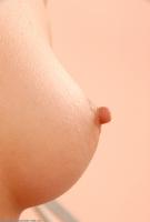 ATK hairy  in mature and hairy