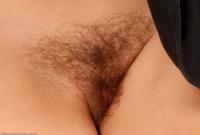 ATK hairy  in mature and hairy