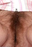 ATK hairy Georgia Set