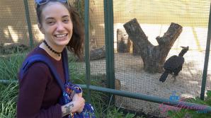 ATK Aunt Judys  in Virtual vacation