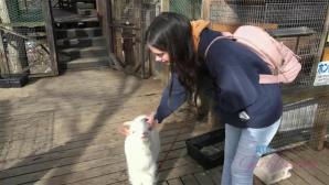 ATK Aunt Judys  in Virtual vacation