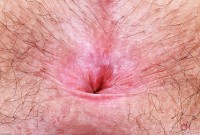 ATK hairy Gigi Set
