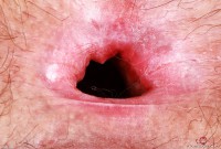 ATK hairy Gigi in young and hairy