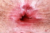 ATK hairy Gigi in young and hairy