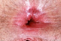 ATK hairy Gigi in young and hairy