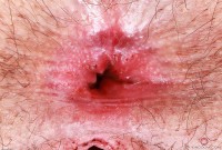 ATK hairy Gigi in young and hairy