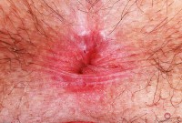 ATK hairy Gigi in young and hairy