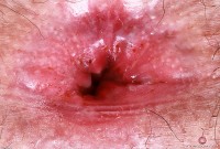 ATK hairy Gigi in young and hairy