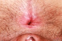 ATK hairy Gigi Set