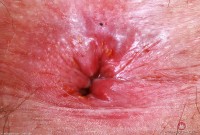 ATK hairy Gigi in young and hairy