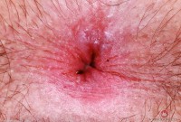 ATK hairy Gigi in young and hairy