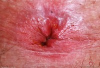 ATK hairy Gigi in young and hairy