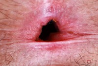 ATK hairy Gigi in mature and hairy