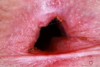 ATK hairy Gigi in mature and hairy